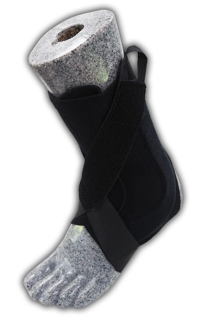 ホンゴウサポーター